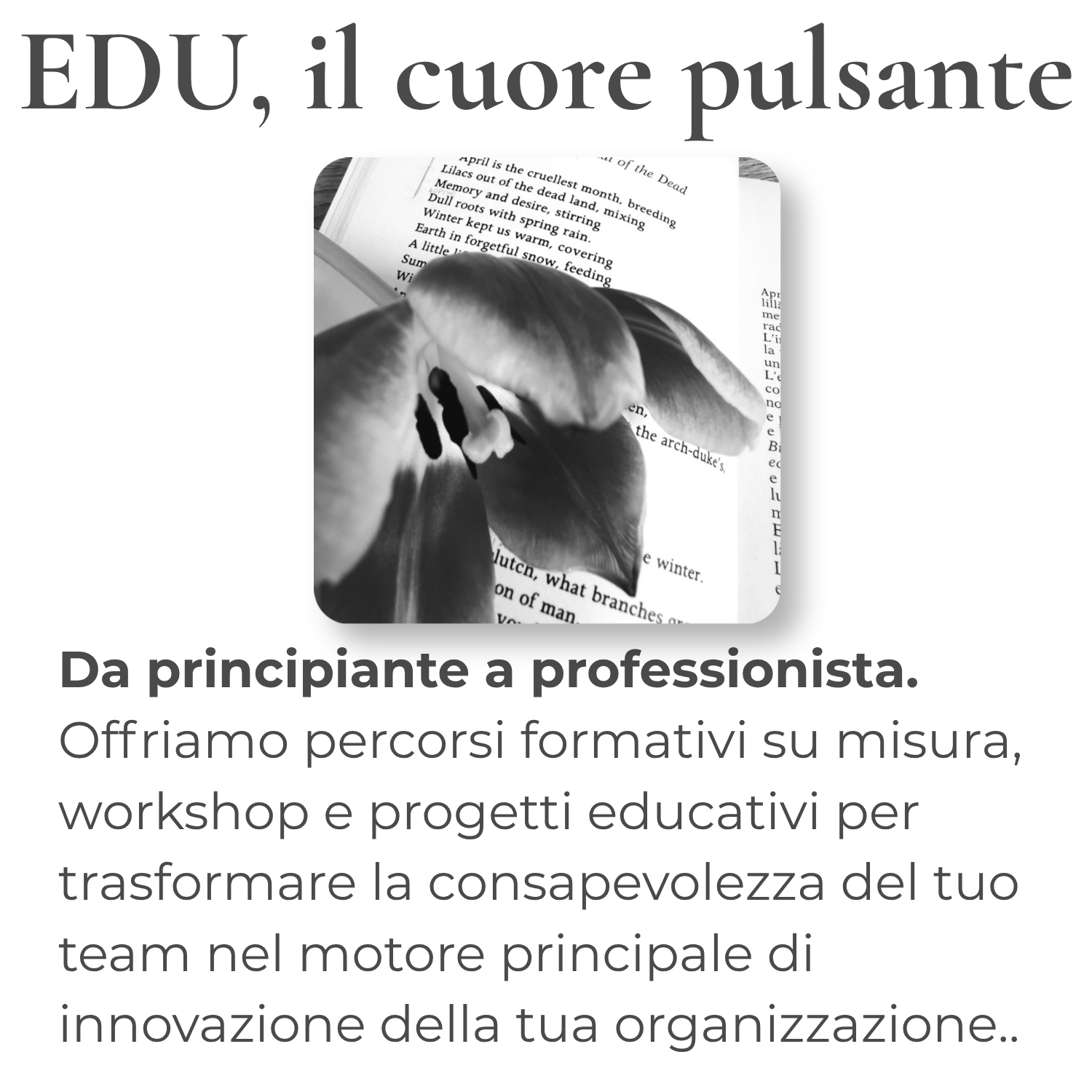 EDU sustainaLAB EDU
