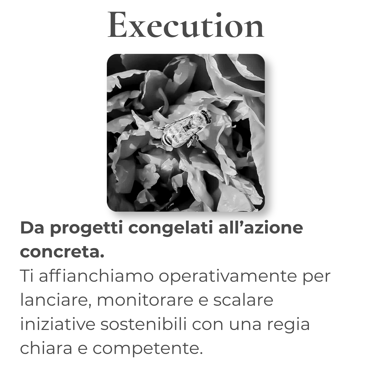Execution sustainaLAB Execution