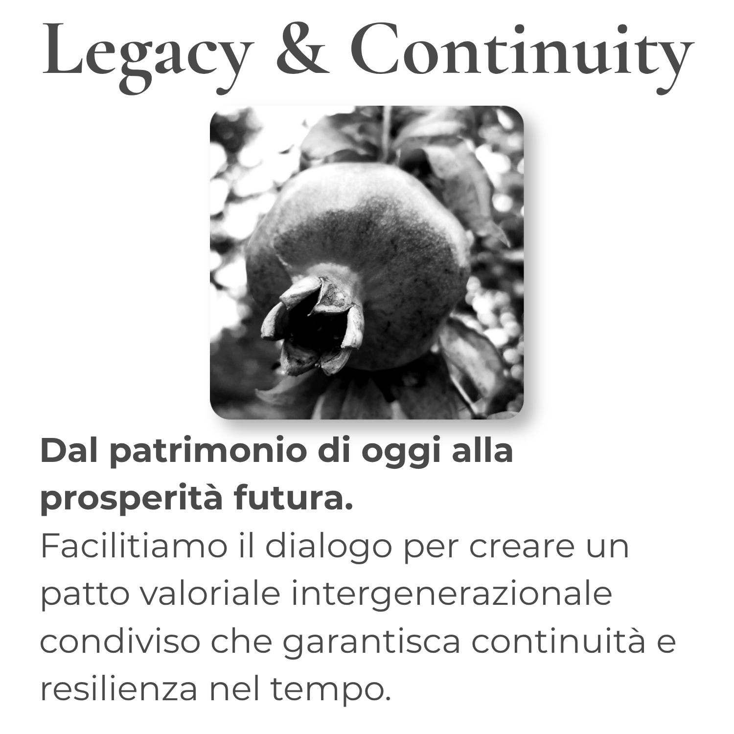 Legacy_Cont sustainaLAB Legacy & Continuity