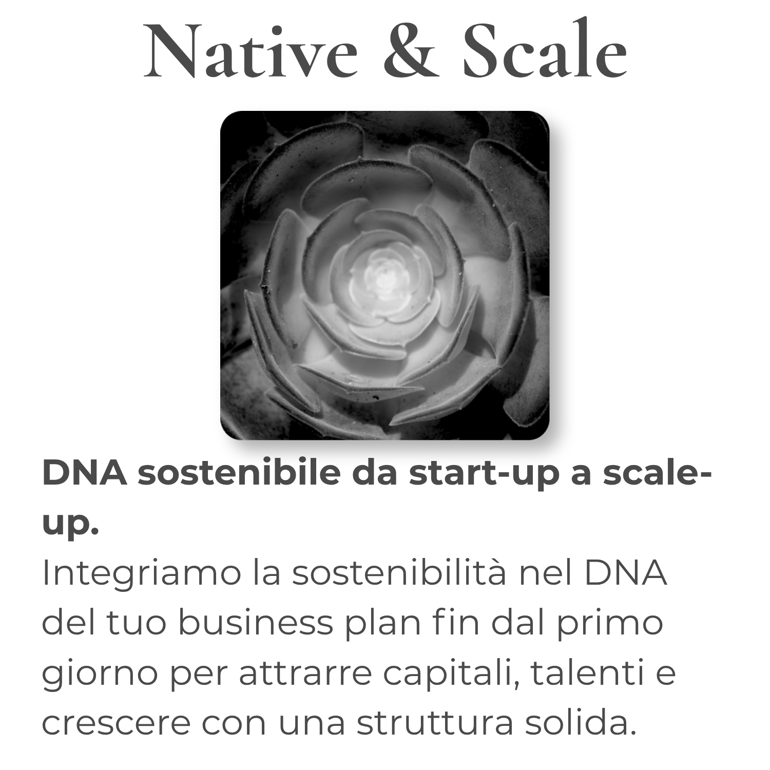 Native_Scale sustainaLAB Native & Scale